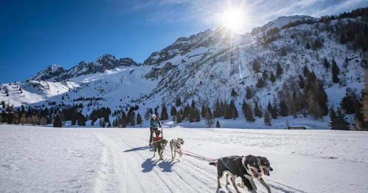 Suite Il Sogno Di Grebek Passo del Tonale Εξωτερικό φωτογραφία