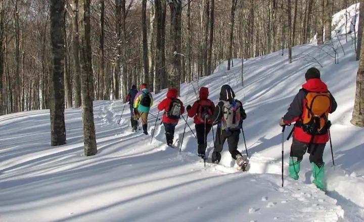 Suite Il Sogno Di Grebek Passo del Tonale Εξωτερικό φωτογραφία